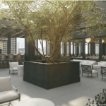 a room with chairs, tables, and a tree in it.