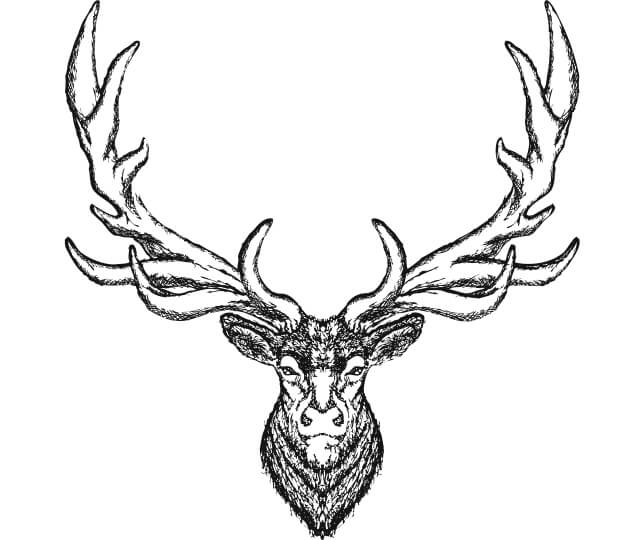 The Elk Room icon