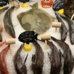 Fresh fish on ice