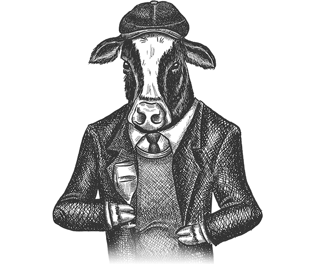 Marmo mascot illustration