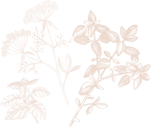 a drawing of some flowers on a white background.