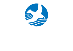 the chesapeake bay foundation logo.