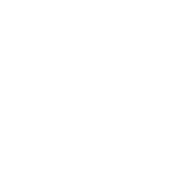 James Joyce Irish Pub logo