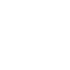 The Valley Inn logo