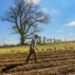 Farmer walking in a field