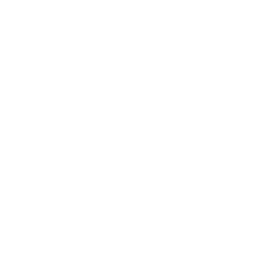 Order of the Ace logo