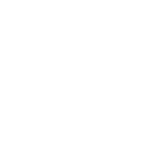 Order of the Ace logo