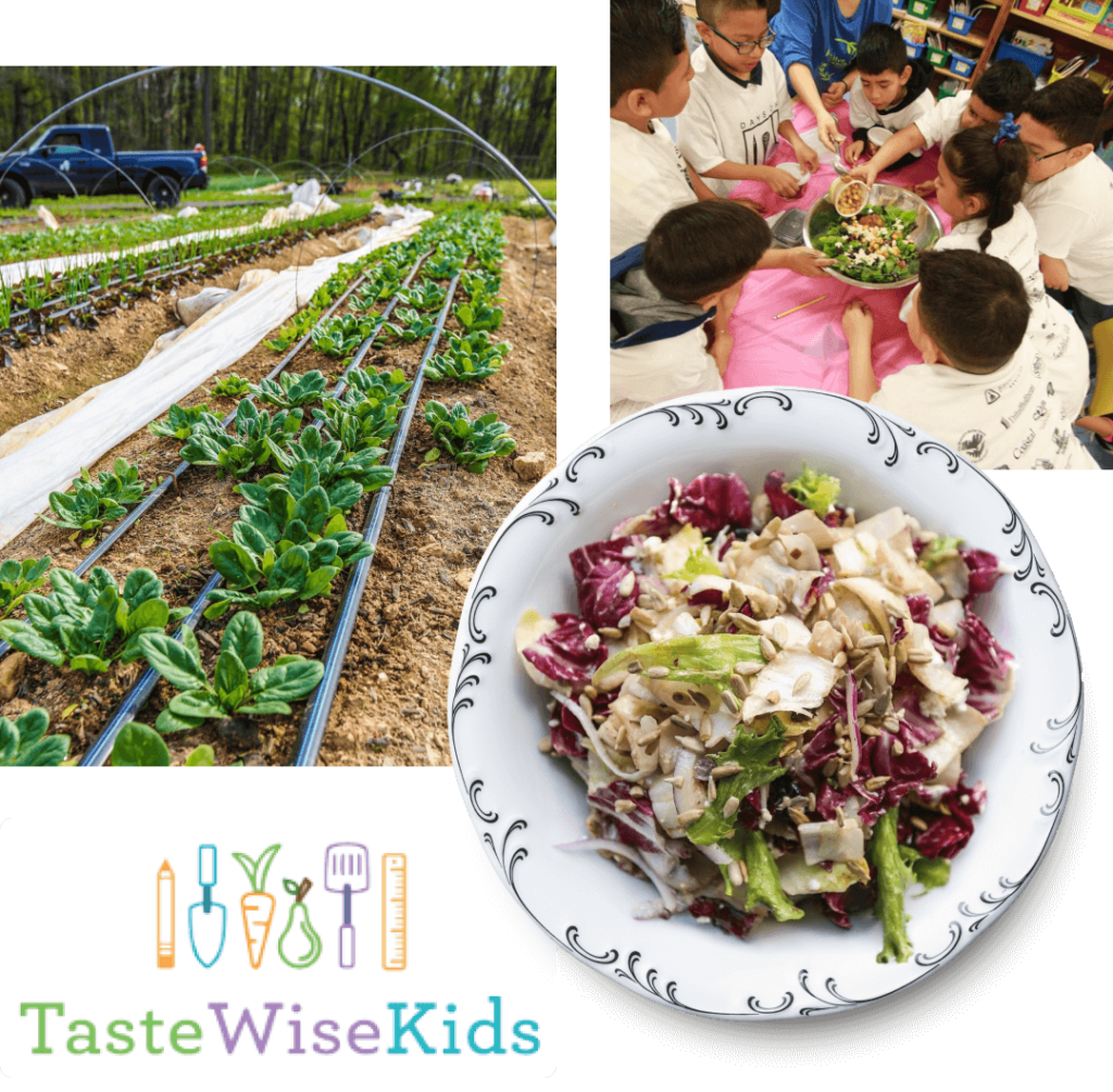 TasteWise Kids